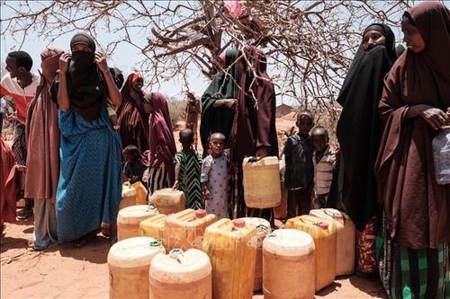 Kenya chi 2,3 triệu USD hỗ trợ cho các hộ gia đình ở vùng bị hạn hán