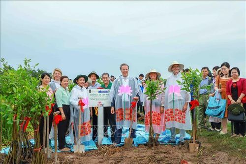 Phát động trồng 1.000 cây bần, chống xói lở bờ sông tại Cần Thơ
