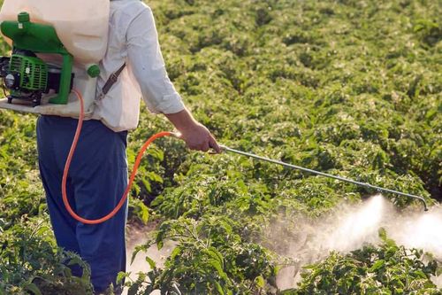 Kịch bản nào cho thị trường phân bón những tháng cuối năm?