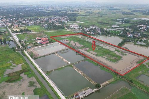 Chính quyền vào cuộc vụ đất lúa của 18 hộ dân bị bao chiếm, xâm phạm