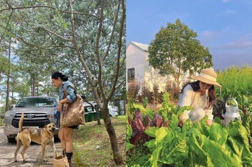 Thu nhập tăng, sống thảnh thơi sau khi nghỉ việc văn phòng để ra đảo, lên rừng tự kinh doanh