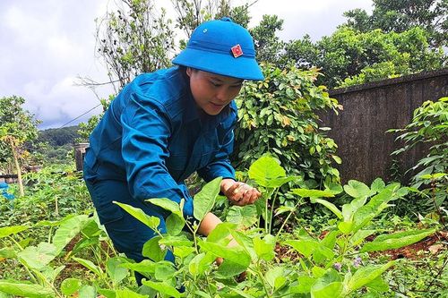 Dân quân thường trực sẵn sàng xử lý các tình huống phát sinh