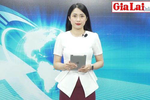Gia Lai 24h: UBND tỉnh Gia Lai chỉ đạo tăng cường quản lý, bảo vệ rừng