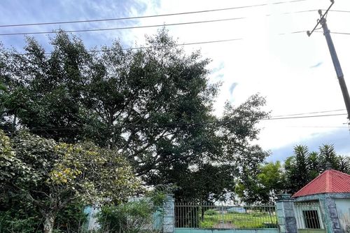 Cảnh sát Môi trường Gia Lai lấy mẫu nước thải của Công ty TNHH Hải Phong