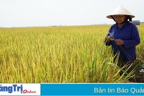 Xây dựng tổ chức đảng trong hợp tác xã: Khó ở đâu, tháo gỡ ở đó. Bài 1: Tổ chức cơ sở đảng trong hợp tác xã chưa xứng tầm