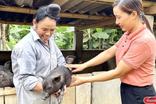 Nông dân Quỳnh Nhai tích cực phát triển kinh tế