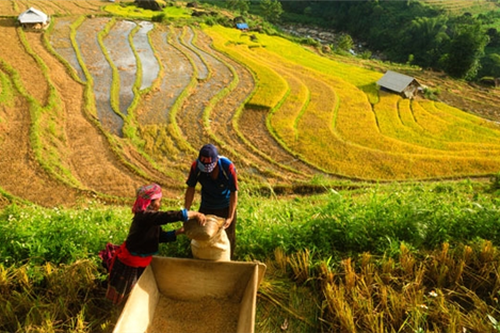 Đối tượng được hỗ trợ đất sản xuất