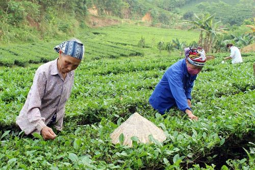 100% làng nghề có thủ tục môi trường