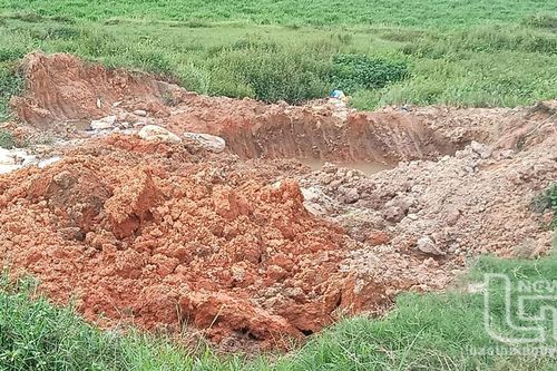 Bãi vứt xác động vật tự phát tại phường Đông Cao đã được xử lý