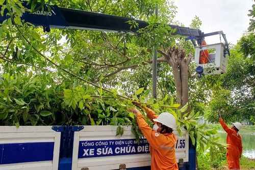 Điện lực Thừa Thiên Huế chủ động ứng phó trong mùa mưa bão
