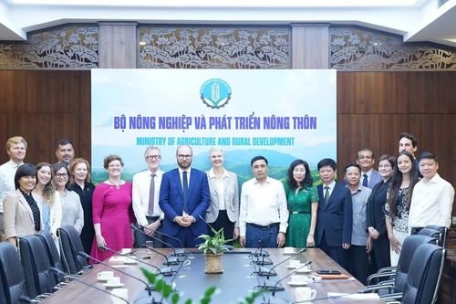 Emergent dành hơn 1 tỷ USD cho các quốc gia có hoạt động bảo vệ rừng