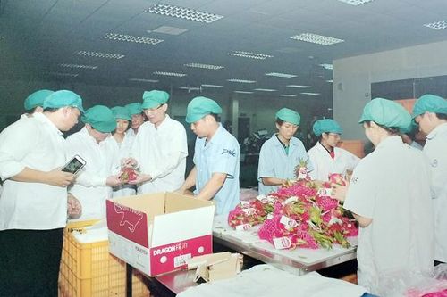 Để nông sản Việt Nam vào sâu hệ thống phân phối nước ngoài