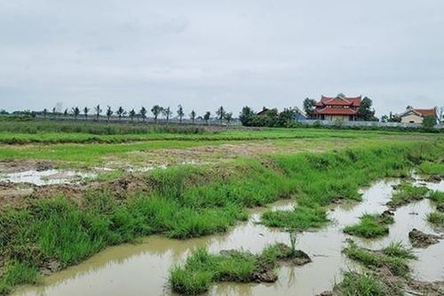 Ngang nhiên bao chiếm đất nông nghiệp của 18 hộ dân