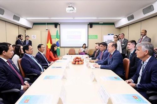 Thủ tướng Phạm Minh Chính tiếp Chủ tịch Nhóm Nghị sĩ hữu nghị Brazil - Việt Nam
