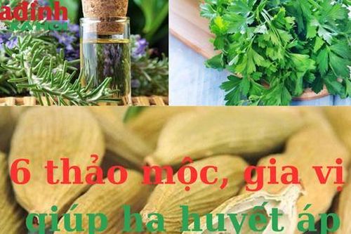 6 thảo mộc, gia vị giúp hạ huyết áp