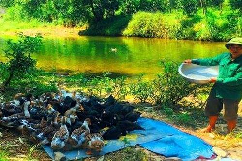 Hội Nông dân tỉnh Bắc Kạn đã phát huy vai trò trung tâm
