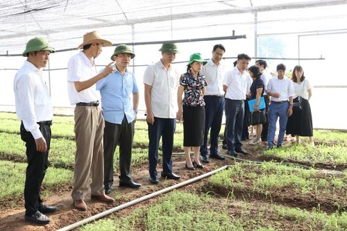 Khó tiếp cận chính sách hỗ trợ