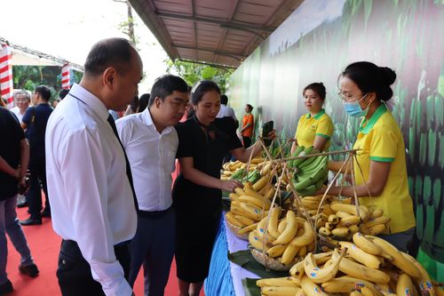 Nông sản Việt Nam có nhiều cơ hội xuất khẩu sang thị trường Nhật Bản