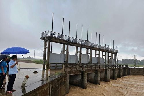 Thanh Hóa báo động II trên sông Yên