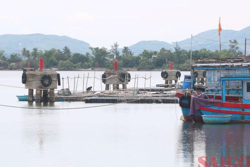 Chiếm dụng âu thuyền để nuôi thủy sản gây khó khăn cho tàu thuyền tránh trú bão