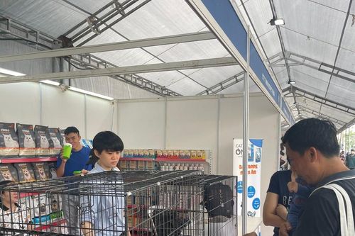 Nhiều thú cưng có mặt tại Tuần lễ Sinh vật cảnh TPHCM
