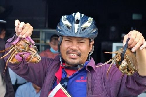 Độc lạ chợ 'đấu giá' cua ở miền Tây