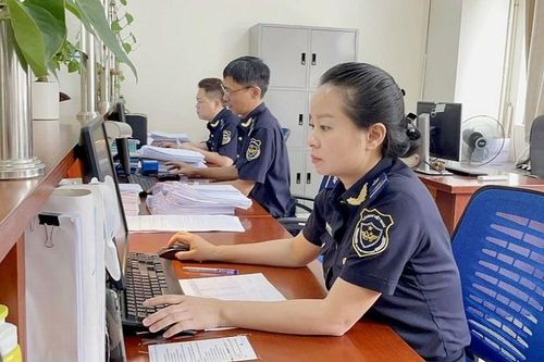 Ngành Hải quan: Bảo đảm giảm 20% số lô hàng lấy mẫu phân tích, phân loại