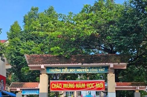 Vụ học Tiếng Anh 'tự nguyện trong bắt buộc': Hé lộ những góc khuất