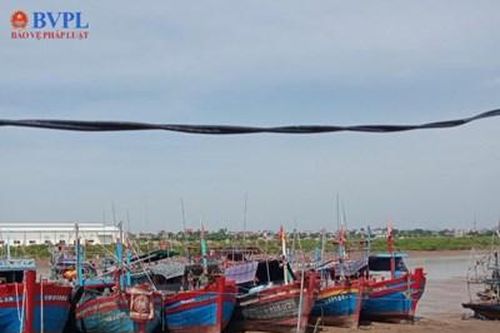 Các cảng cá lớn tại Thanh Hóa bồi lắng nghiêm trọng khiến ngư dân gặp khó