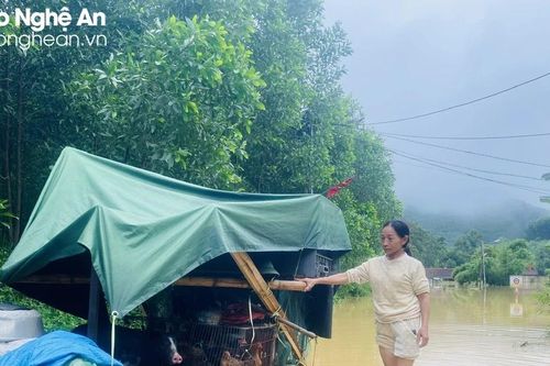 Ngớt mưa, người dân Thanh Chương bắt tay khắc phục hậu quả, ổn định cuộc sống