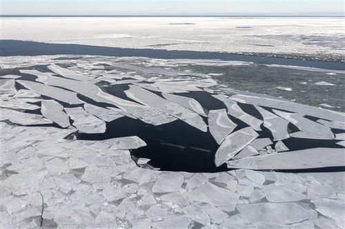NASA: Lượng băng biển bị mất đủ để bao phủ toàn bộ lục địa nước Mỹ