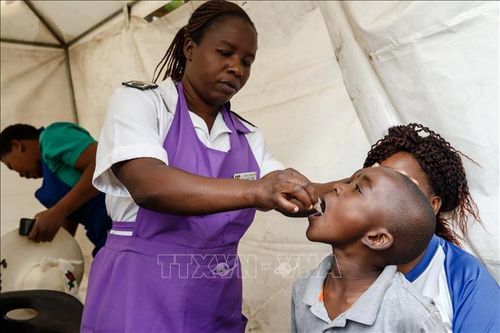 Dịch tả bùng phát làm 12 người tử vong ở Zimbabwe