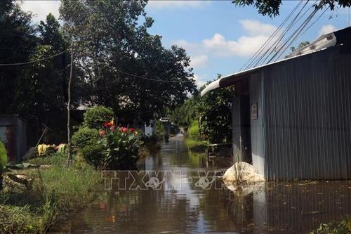 Mưa lớn kèm theo dông, lốc gây thiệt hại tài sản của người dân Kiên Giang