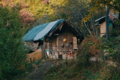 Lên núi sống ẩn cư, cô gái vội vàng bỏ về thành phố vì lý do không thể ngờ