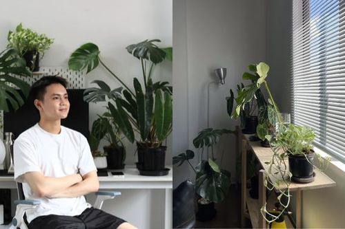 Nam sinh viên kiến trúc tự bài trí phòng thuê trở nên xịn xò