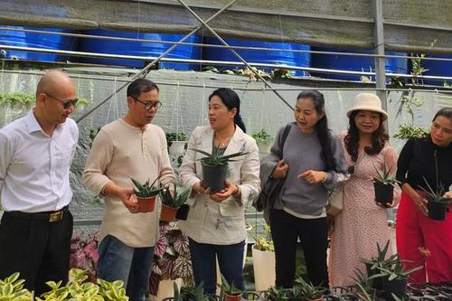 Hỗ trợ nhà sản xuất đưa nông sản tỉnh Lâm Đồng vào thị trường TPHCM