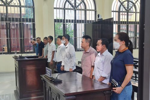 Lãnh đạo thôn lĩnh án tù vì bán đất trái thẩm quyền