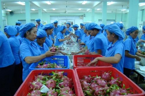Phát triển thương hiệu Việt Nam tại thị trường CPTPP