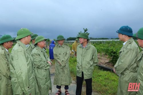 Bí thư Tỉnh ủy Đỗ Trọng Hưng kiểm tra công tác ứng phó với mưa lớn tại huyện Như Thanh và Nông Cống