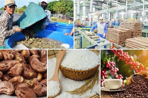 Đưa công nghệ vào sản xuất nông sản để giảm dần xuất khẩu thô