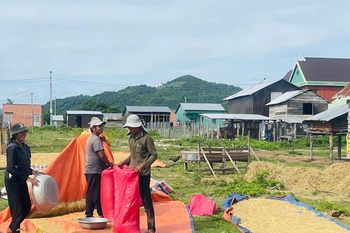 An cư cho người dân vùng sạt lở bờ sông Ba: Giấc mơ thành hiện thực