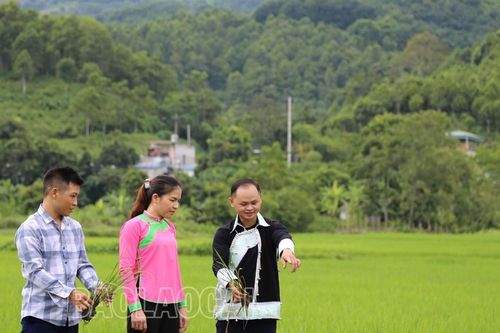 Nâng cao trình độ lý luận cho cán bộ, đảng viên người dân tộc thiểu số