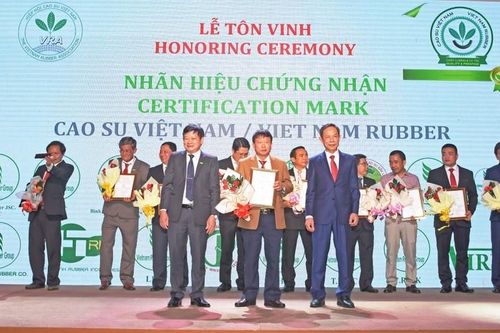 Công ty TNHH MTV Cao su Chư Păh: Phát triển, đồng hành cùng người dân địa phương
