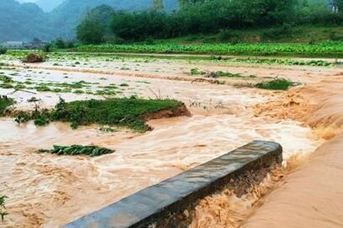 Mưa lũ tại miền Trung đã làm 7 người thương vong, 155 nhà bị tốc mái