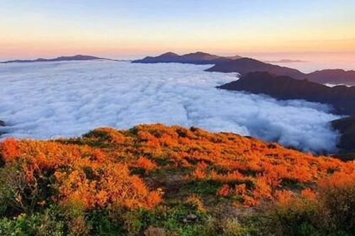 Có gì đặc biệt tại Tà Chì Nhù, Yên Bái khiến giới trẻ 'săn lùng'?