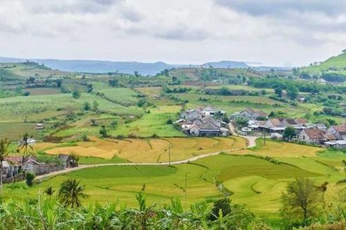 'Bệ đỡ' HTX giúp Tuy An vươn cao trên con đường xây dựng nông thôn mới