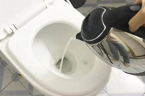 Tại sao khi nhận phòng khách sạn nên đun nước sôi rồi đổ vào toilet?