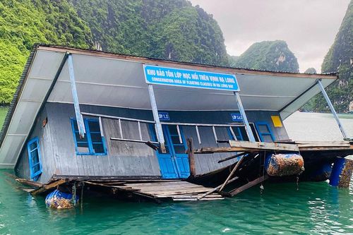 Nhà bảo tồn trên làng chài Cửa Vạn bị gió thổi đổ, sắp chìm xuống vịnh Hạ Long