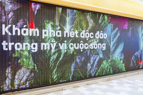 Siêu thị LOTTE Mart West Lake đi vào hoạt động, phục vụ khách hàng