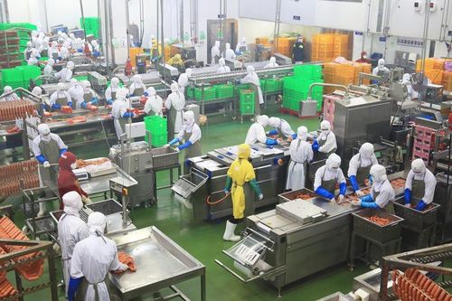 Phát triển công nghiệp chế biến nông sản, thực phẩm: Đột phá bằng công nghệ